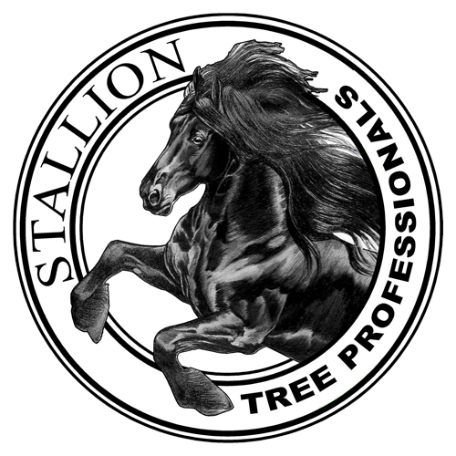 Stallion Tree Professionals